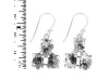 Herkimer Diamond Rough Earring-2E HKD-3-95