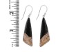 Petrified Wood Earring-E PTF-3-17