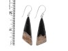 Petrified Wood Earring-E PTF-3-4