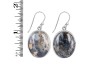 Russian Dendritic Agate Earring-E RDA-3-49