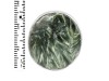 Seraphinite Adjustable Ring-ADJ-R SER-2-32