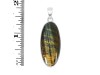 Tiger Eye Pendant-SP TGE-1-74