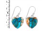 Oyster Turquoise Earring-E TRO-3-56